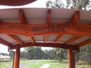 Rail trail platypus