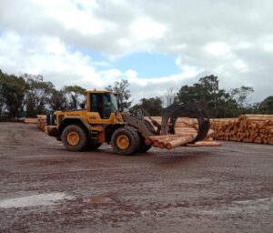 log supply Mt Gambier 1