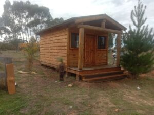 mills road cabin exterior 1
