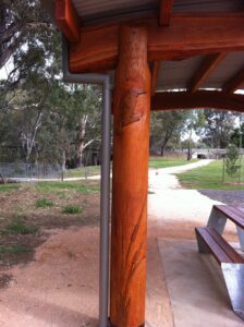 rail trail kingfisher